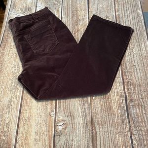 DG2  Diane Gilman Dark Brown Velvety Pants SZ 18W P